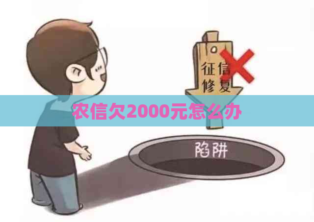 农信欠2000元怎么办