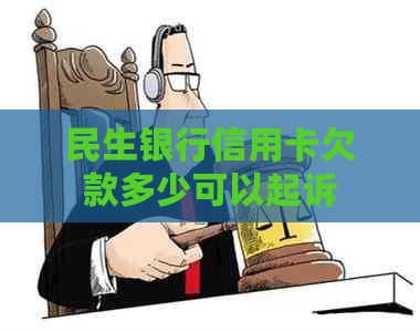 民生银行信用卡欠款多少可以起诉