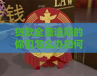 贷款全面逾期的你们怎么办如何解决