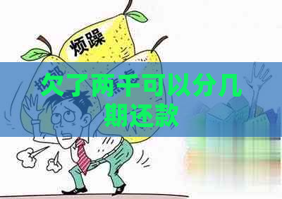 欠了两千可以分几期还款