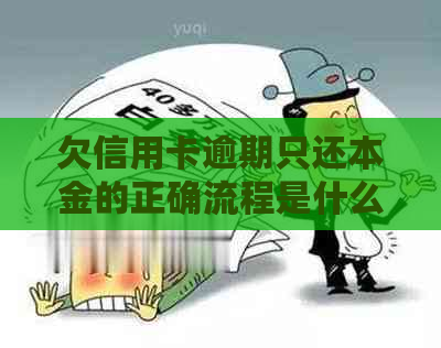 欠信用卡逾期只还本金的正确流程是什么