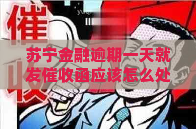 苏宁金融逾期一天就发函应该怎么处理