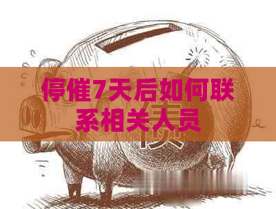 停催7天后如何联系相关人员