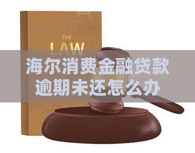 海尔消费金融贷款逾期未还怎么办