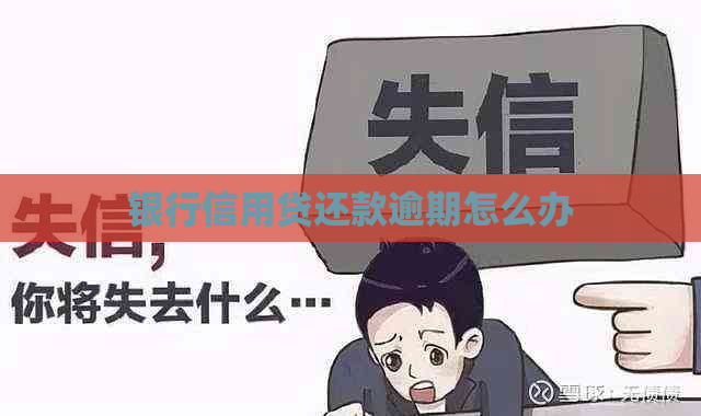 银行信用贷还款逾期怎么办