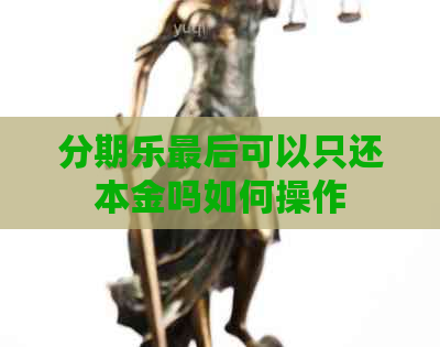 最后可以只还本金吗如何操作