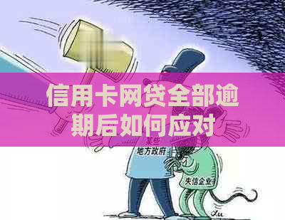 信用卡网贷全部逾期后如何应对