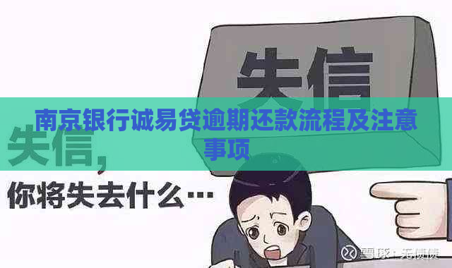 南京银行诚易贷逾期还款流程及注意事项