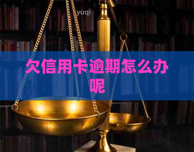 欠信用卡逾期怎么办呢