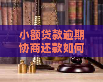 小额贷款逾期协商还款如何进行