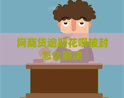 网商贷逾期花呗被封怎么解决