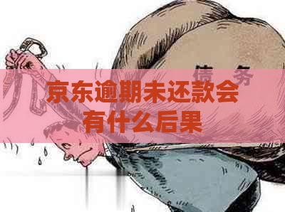 京东逾期未还款会有什么后果