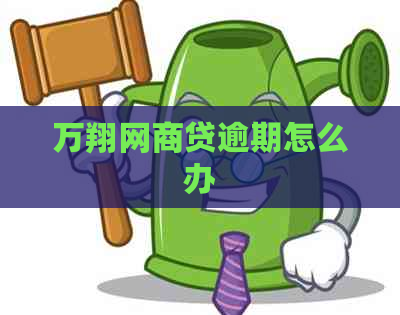 万翔网商贷逾期怎么办