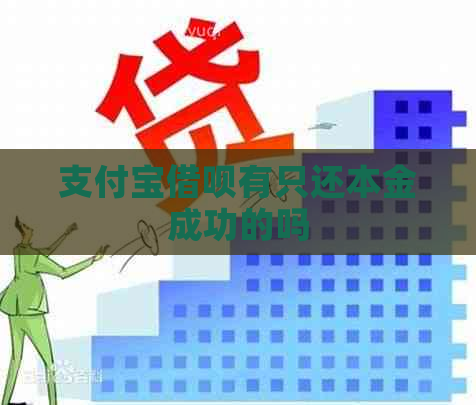 支付宝借呗有只还本金成功的吗