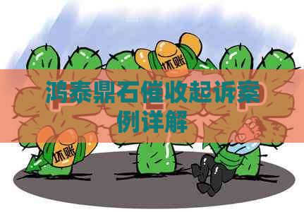 鸿泰鼎石起诉案例详解