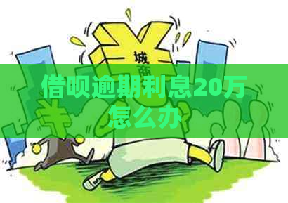 网贷逾期利息20万怎么办