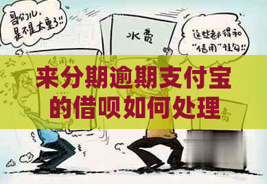 来分期逾期支付宝的网贷如何处理