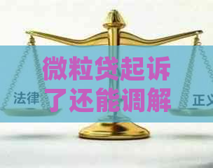 微粒贷起诉了还能调解吗如何进行调解