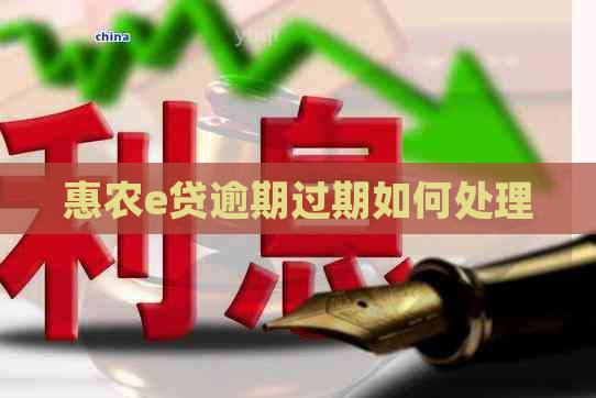 惠农e贷逾期过期如何处理