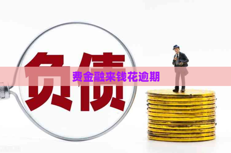 费金融来钱花逾期