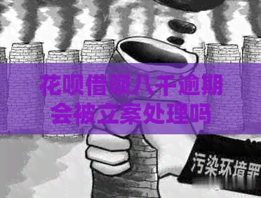 信用卡网贷八千逾期会被立案处理吗