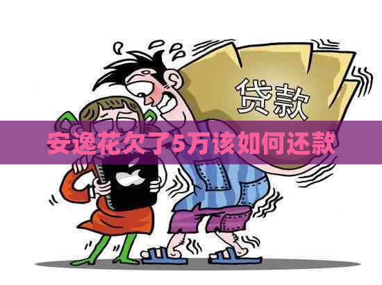 安逸花欠了5万该如何还款