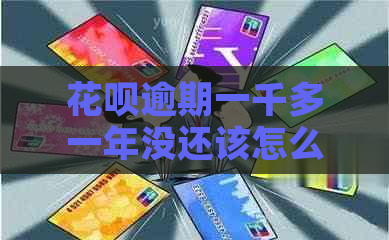 信用卡逾期一千多一年没还该怎么办