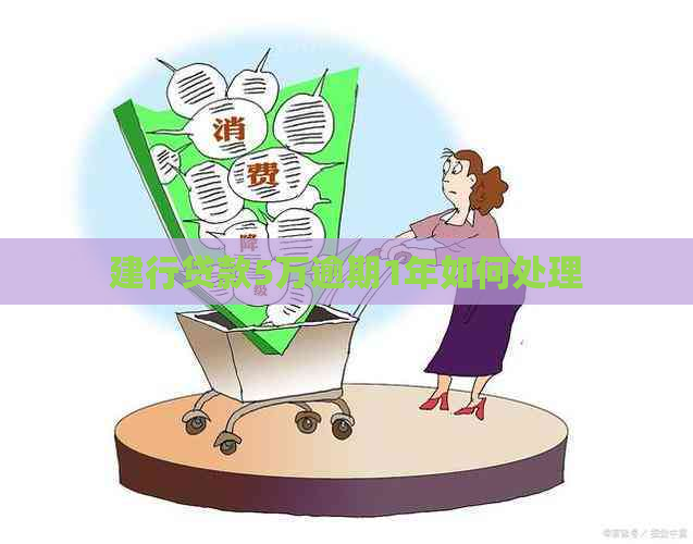建行贷款5万逾期1年如何处理