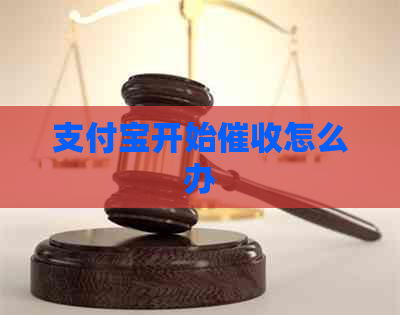 支付宝开始怎么办