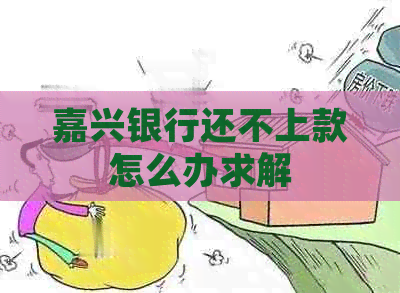 嘉兴银行还不上款怎么办求解