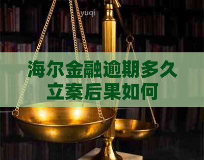 海尔金融逾期多久立案后果如何