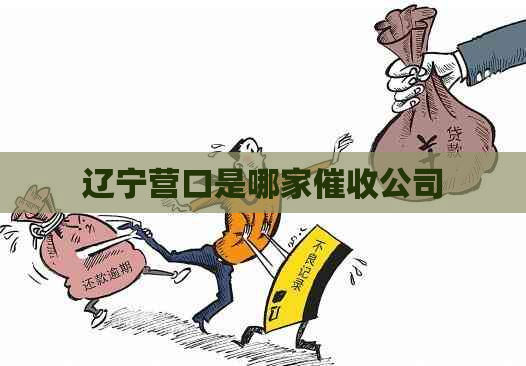 辽宁营口是哪家公司