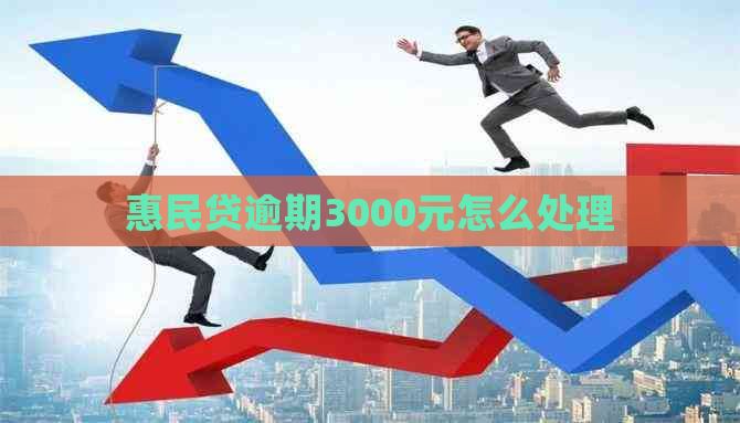 惠民贷逾期3000元怎么处理