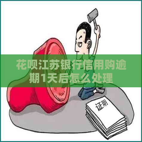 花呗江苏银行信用购逾期1天后怎么处理