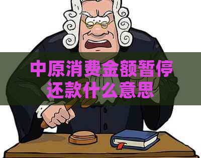 中原消费金额暂停还款什么意思