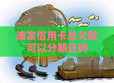 浦发信用卡总欠款可以分期还吗