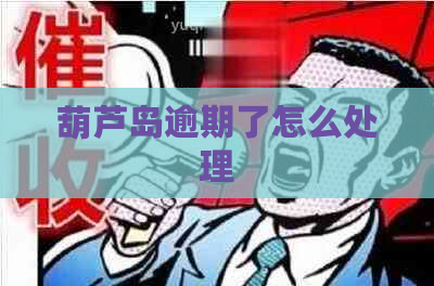 葫芦岛逾期了怎么处理