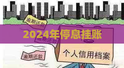 2024年停息挂账