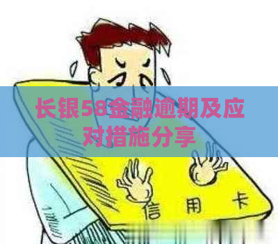 长银58金融逾期及应对措施分享