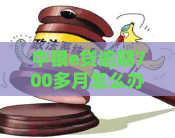 中银e贷逾期700多月怎么办