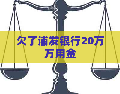 欠了浦发银行20万万用金