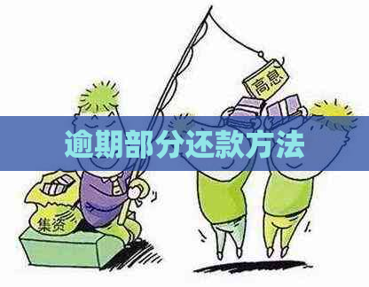 逾期部分还款方法