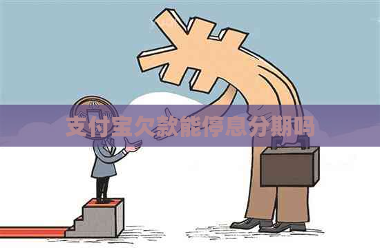 支付宝欠款能停息分期吗