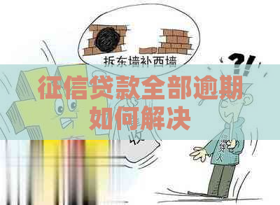 贷款全部逾期如何解决