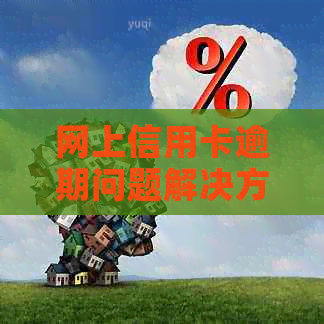 网上信用卡逾期问题解决方式：协商与还款全解析