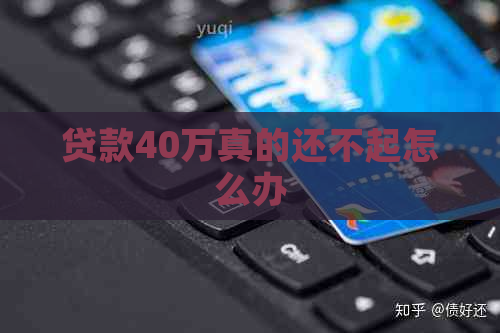 贷款40万真的还不起怎么办