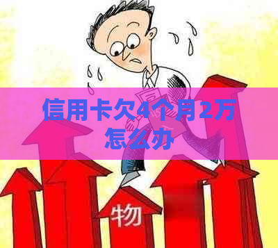 信用卡欠4个月2万怎么办