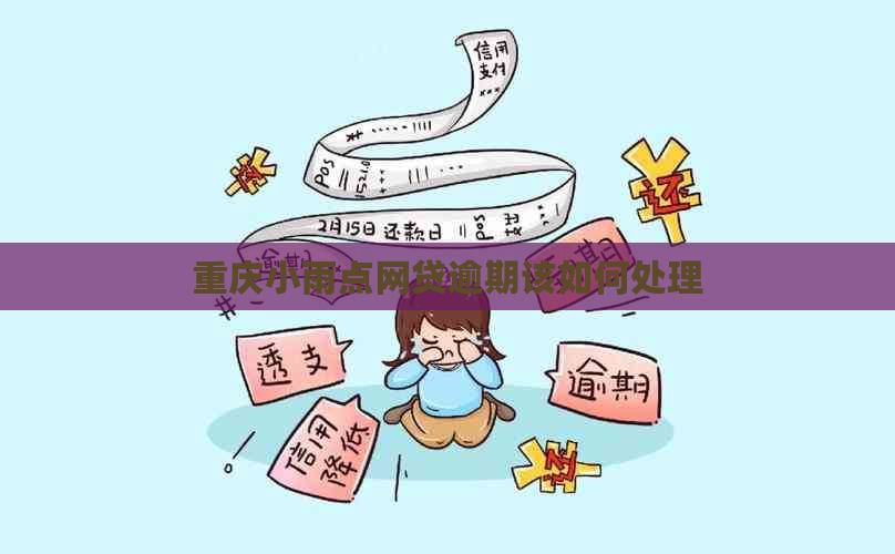 重庆小雨点网贷逾期该如何处理