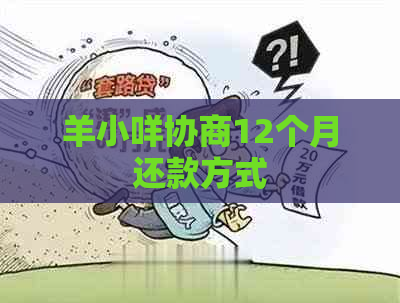 羊小咩协商12个月还款方式