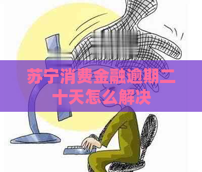 苏宁消费金融逾期二十天怎么解决